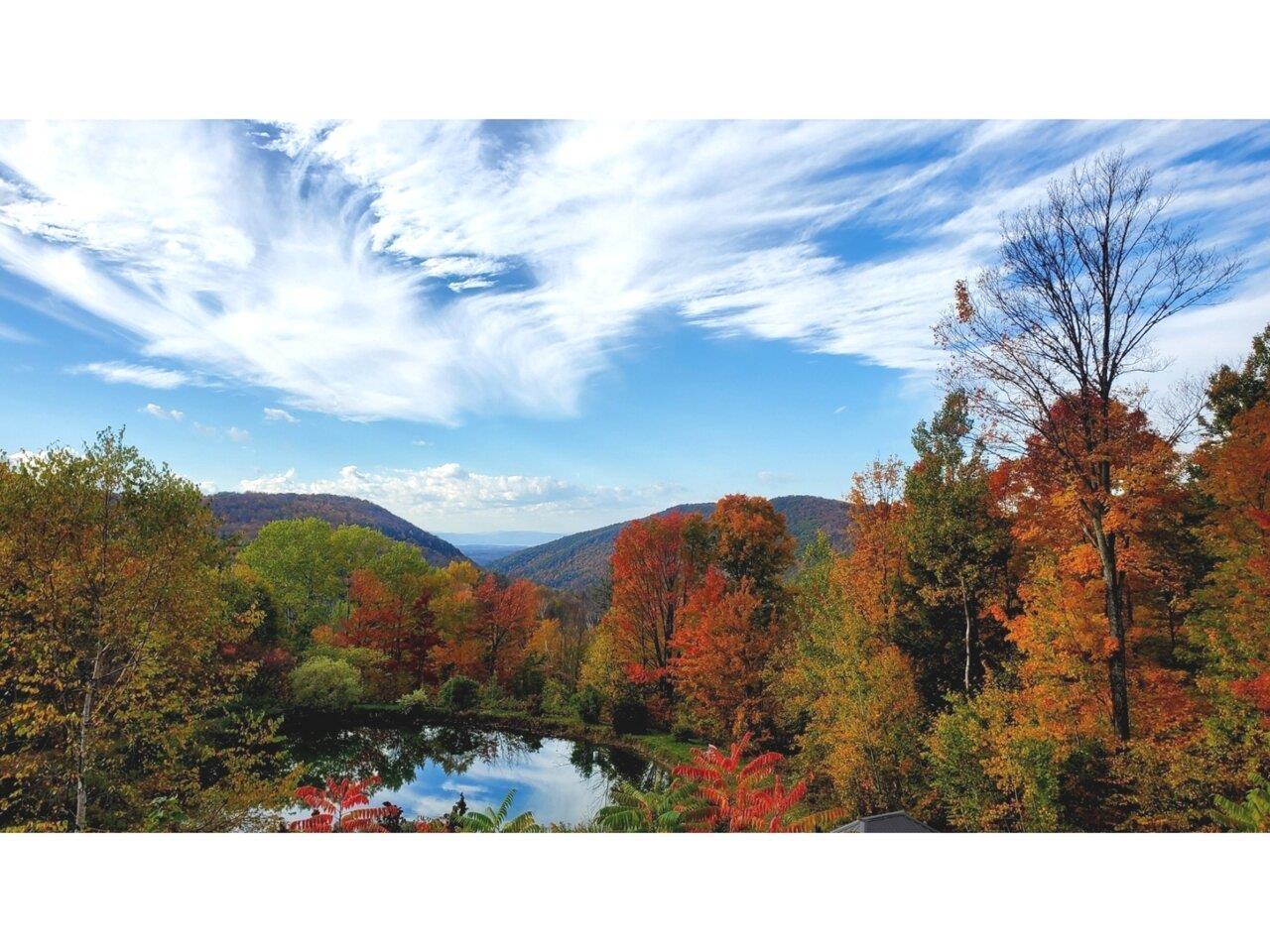 Image 2: Fall Colors Coming Soon!