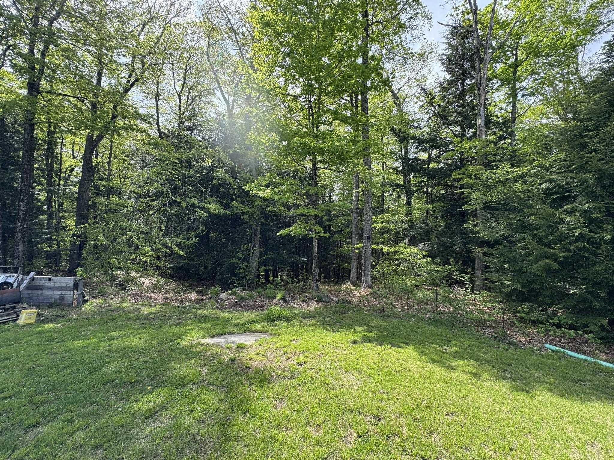 Image 4 Image 4