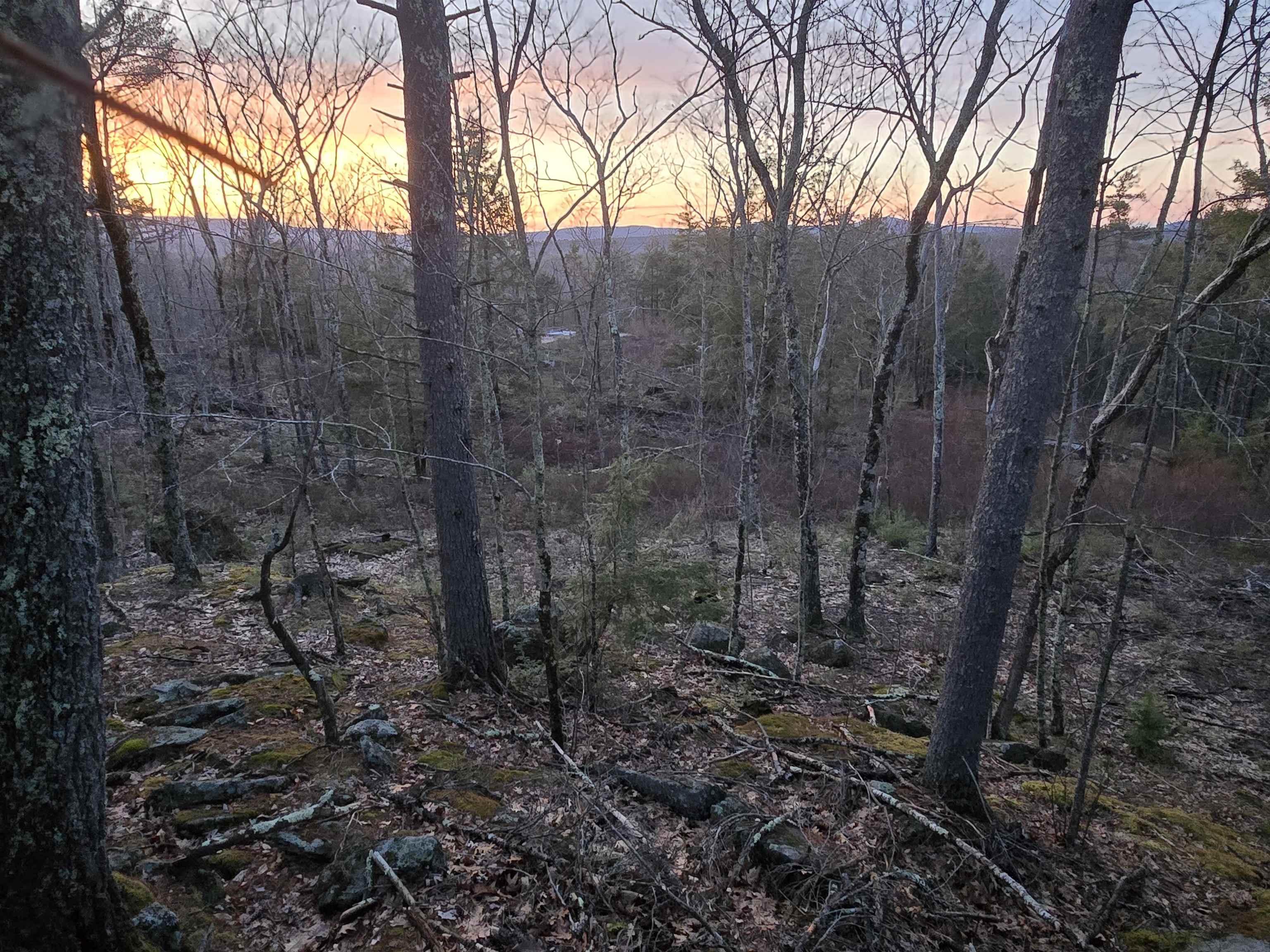 Image 1 Image 1