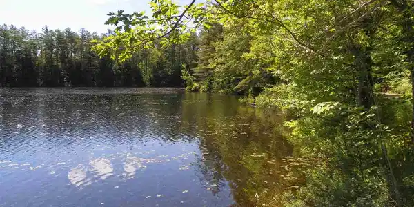0 Kilton Pond