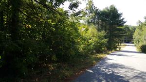 Lot 44 Maple Grove