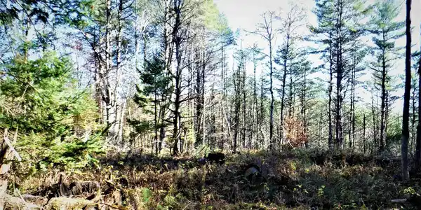 0 Ridge