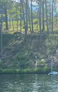 242 Spooner Point Road