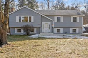 519 Shore acres