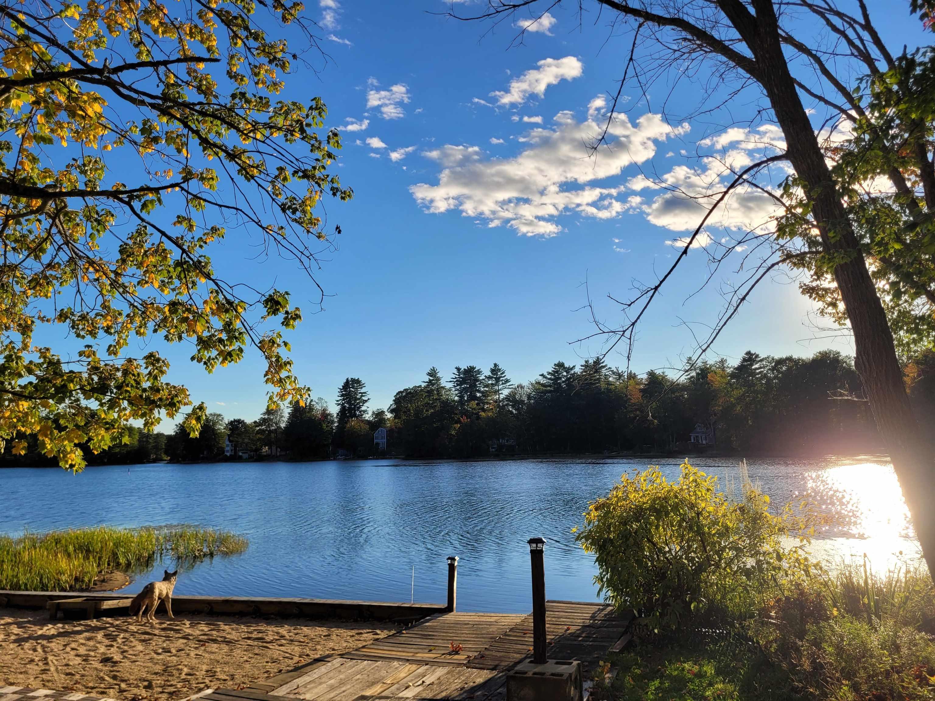 Image 3: Swains Lake Deed Access