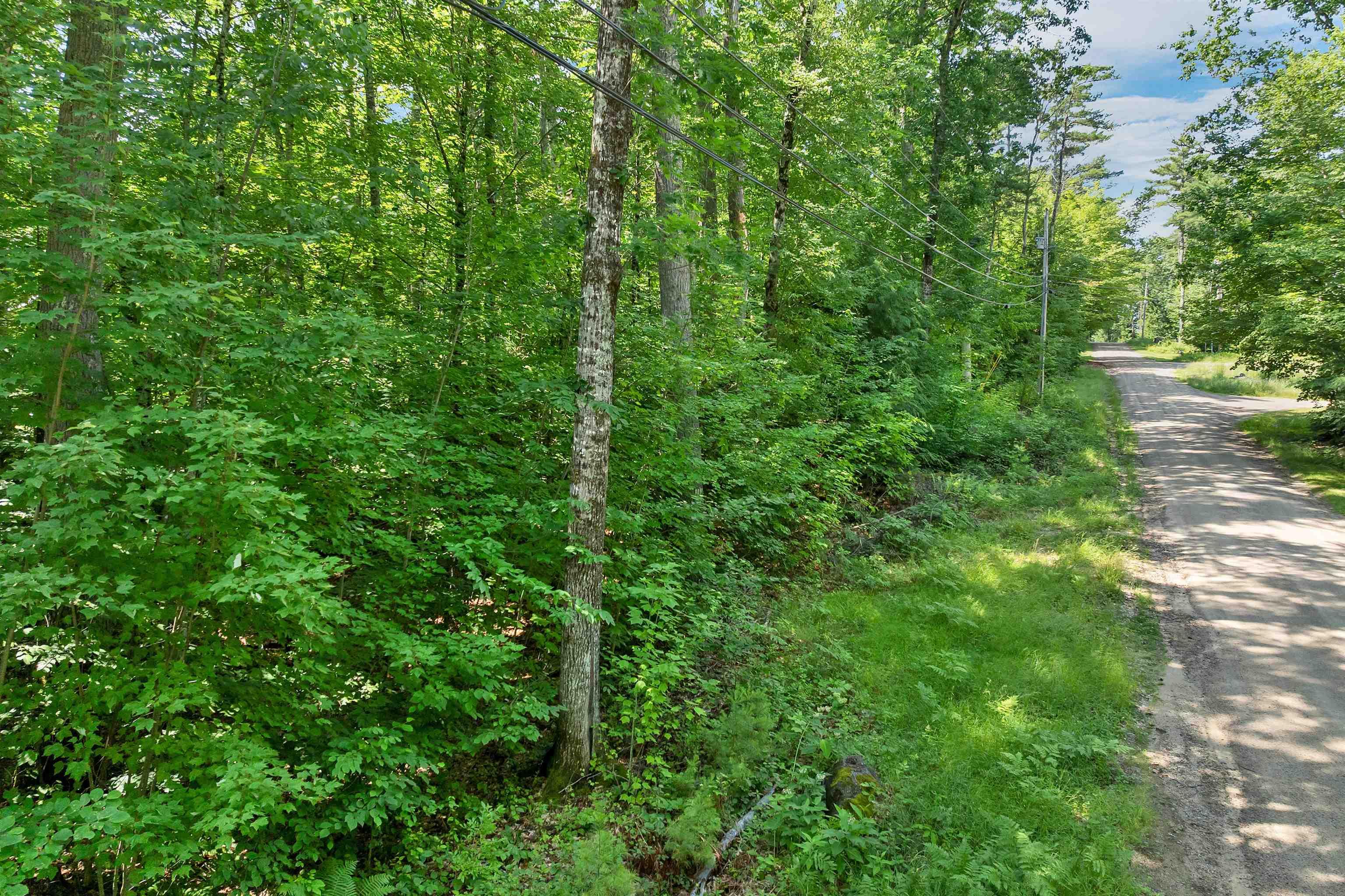 Image 4 Image 4