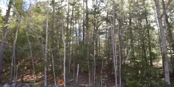 Lot 30 Mountain View