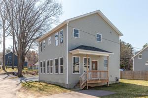 54 Lone Birch