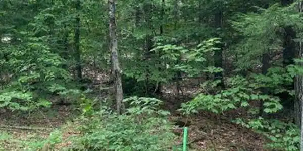Lot 173 Deer Meadow Road