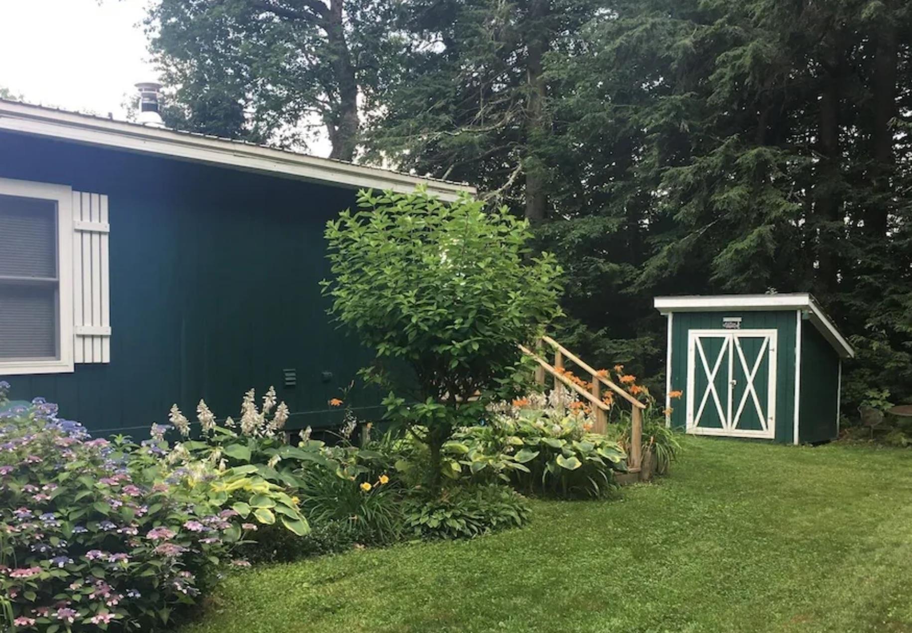 Image 3: LEVEL YARD AND SHED