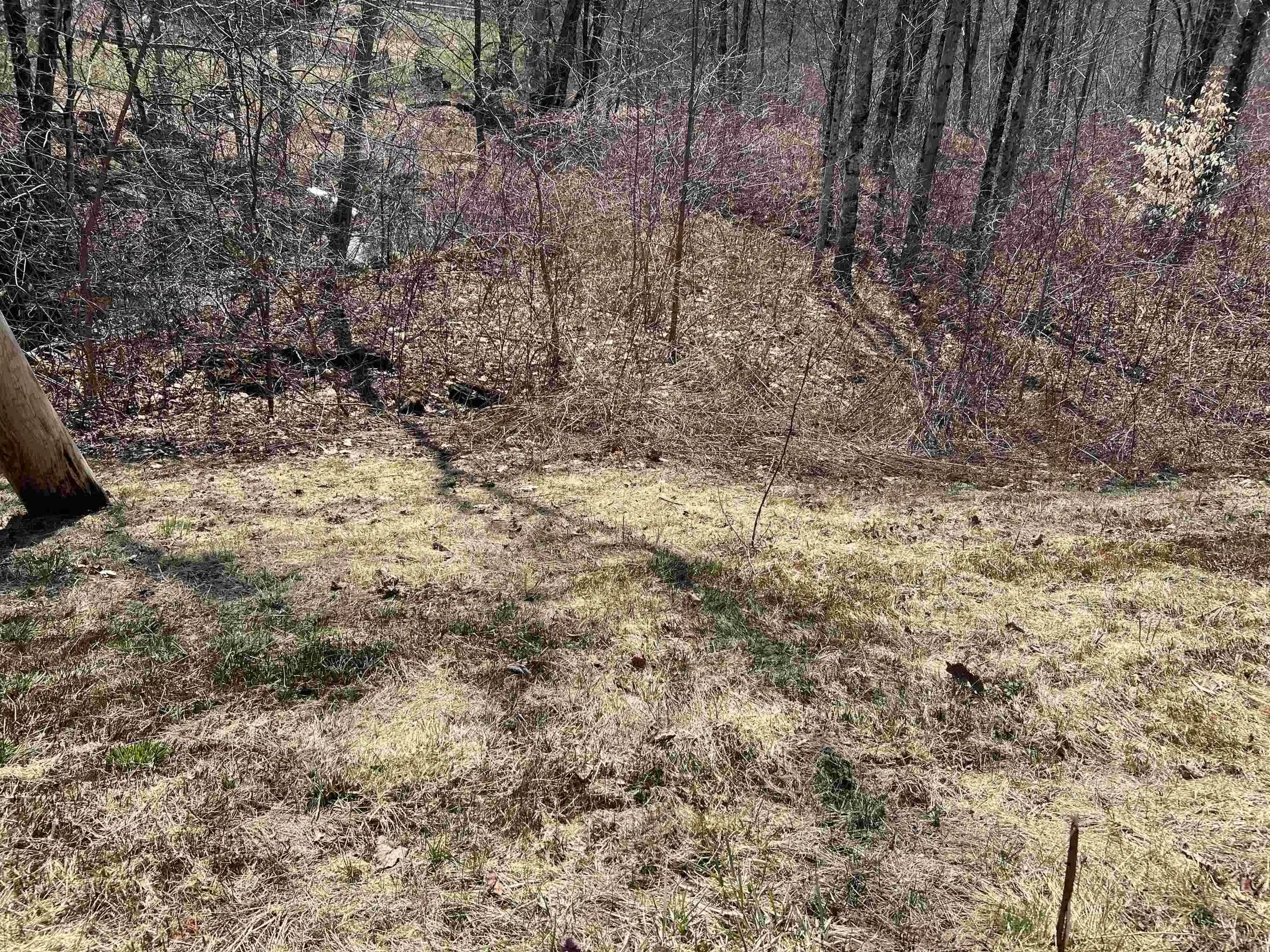 Image 1 Image 1