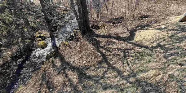 Image 2 Image 2