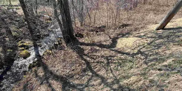 Image 3 Image 3