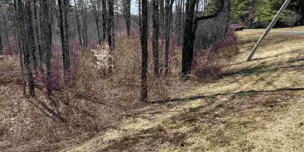 Image 4 Image 4
