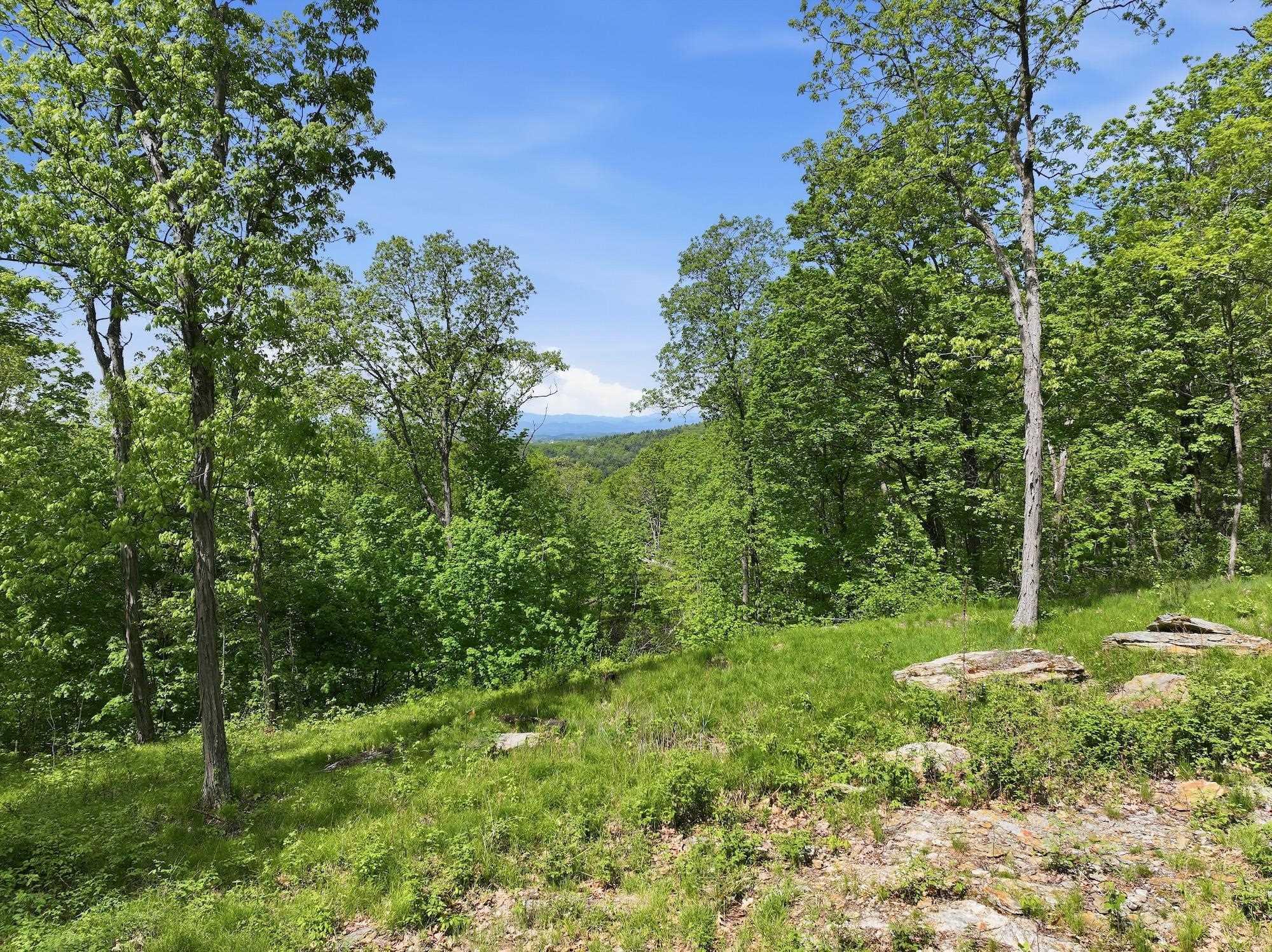 Image 3: One of several build sites - this the upper site Image 3: One of several build sites - this the upper site