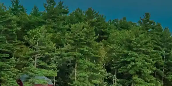 14 Great Island