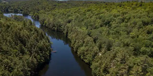 0 Dodge Pond