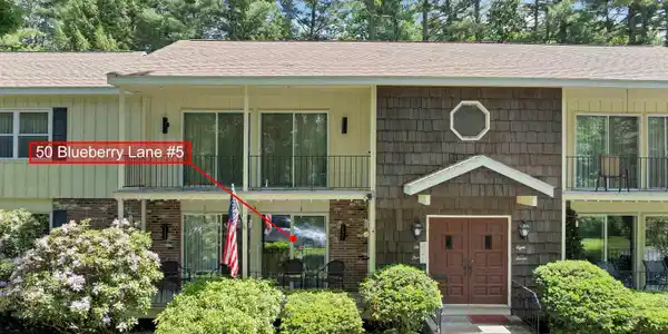 50 Blueberry Lane
