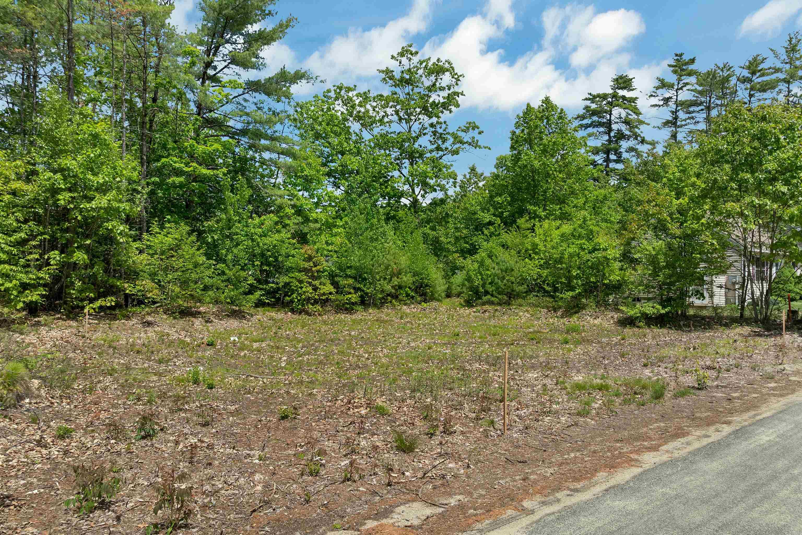 Image 3: Lot is mostly cleared and ready to go Image 3: Lot is mostly cleared and ready to go