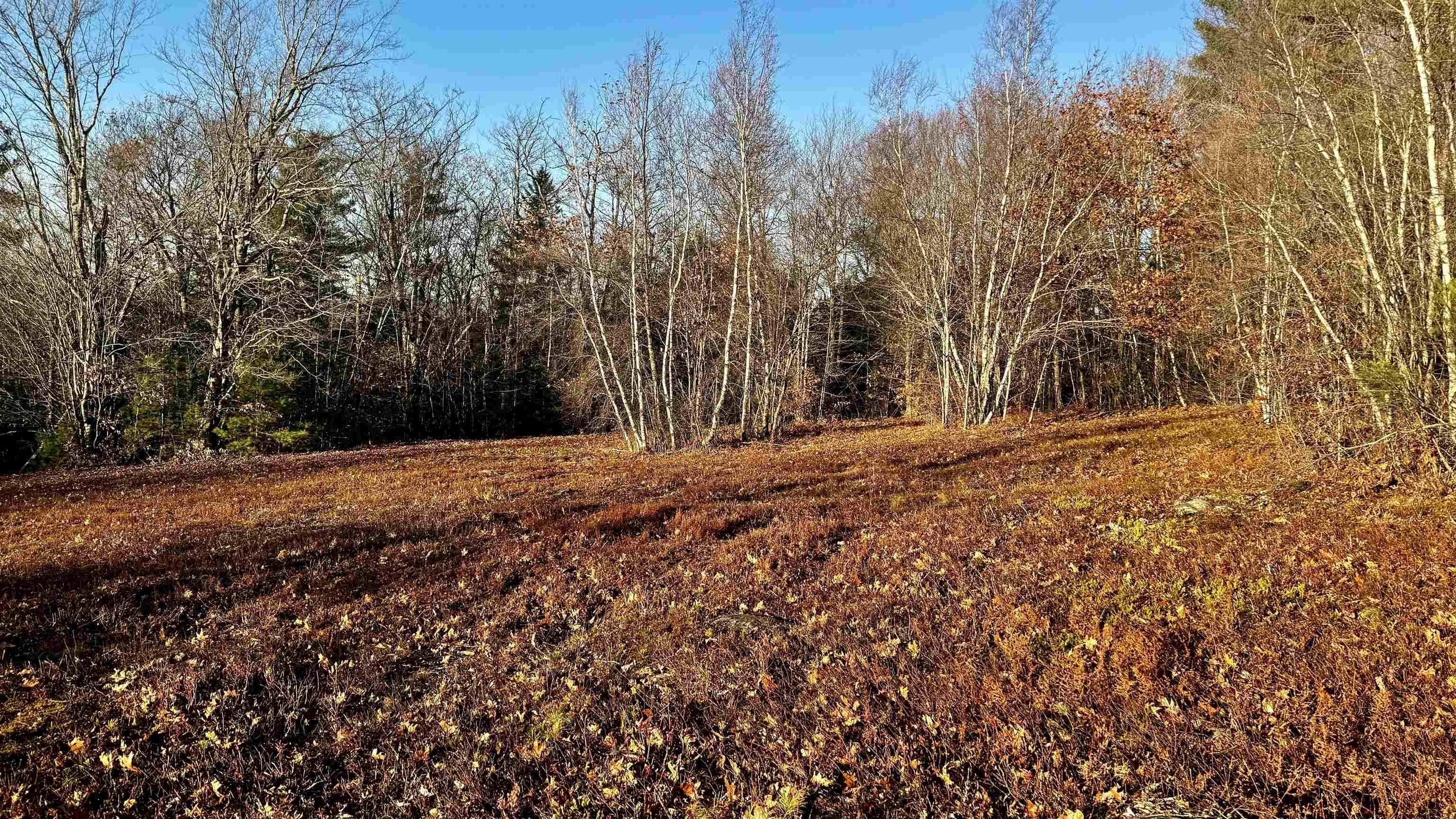 Image 2: Fall 2024, Fall 2024 Image 2: Fall 2024, Fall 2024