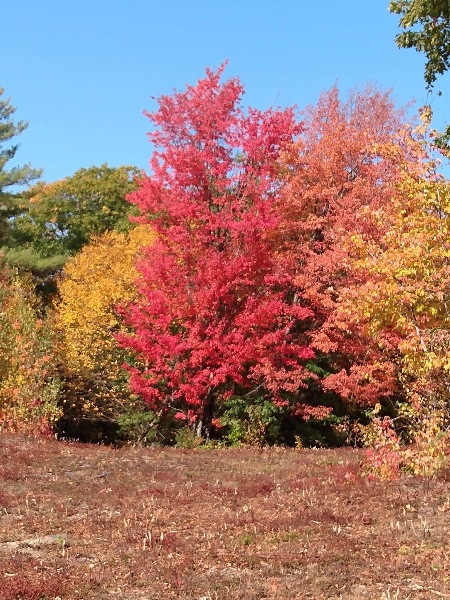 Image 3: Fall Photo, Fall Photo Image 3: Fall Photo, Fall Photo