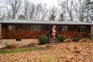 9 Birchwood