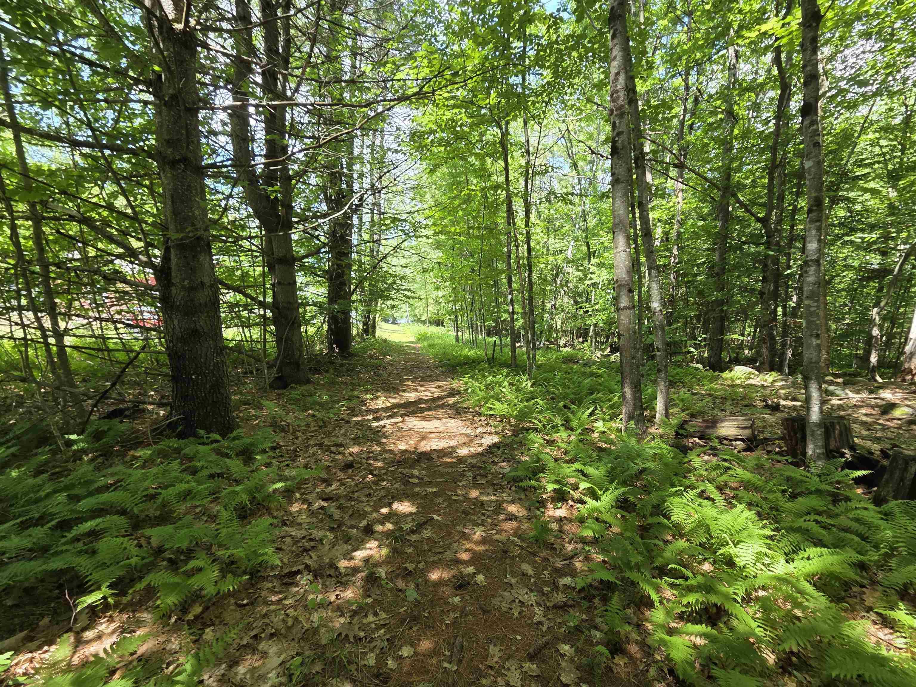 Image 4 Image 4