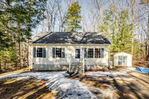37 White Birch