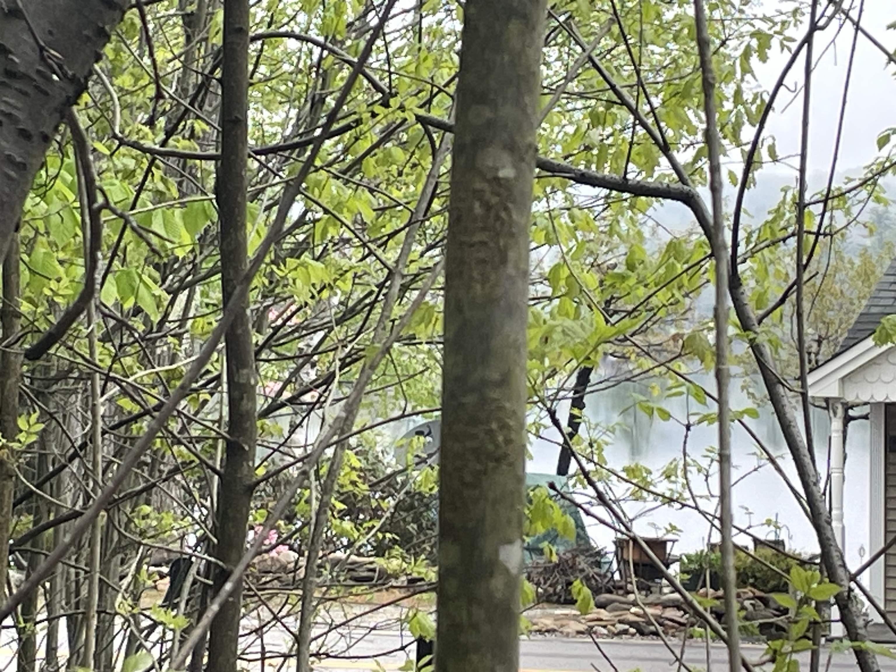 Image 0: view from lot overlooking road to Island Pond across the street