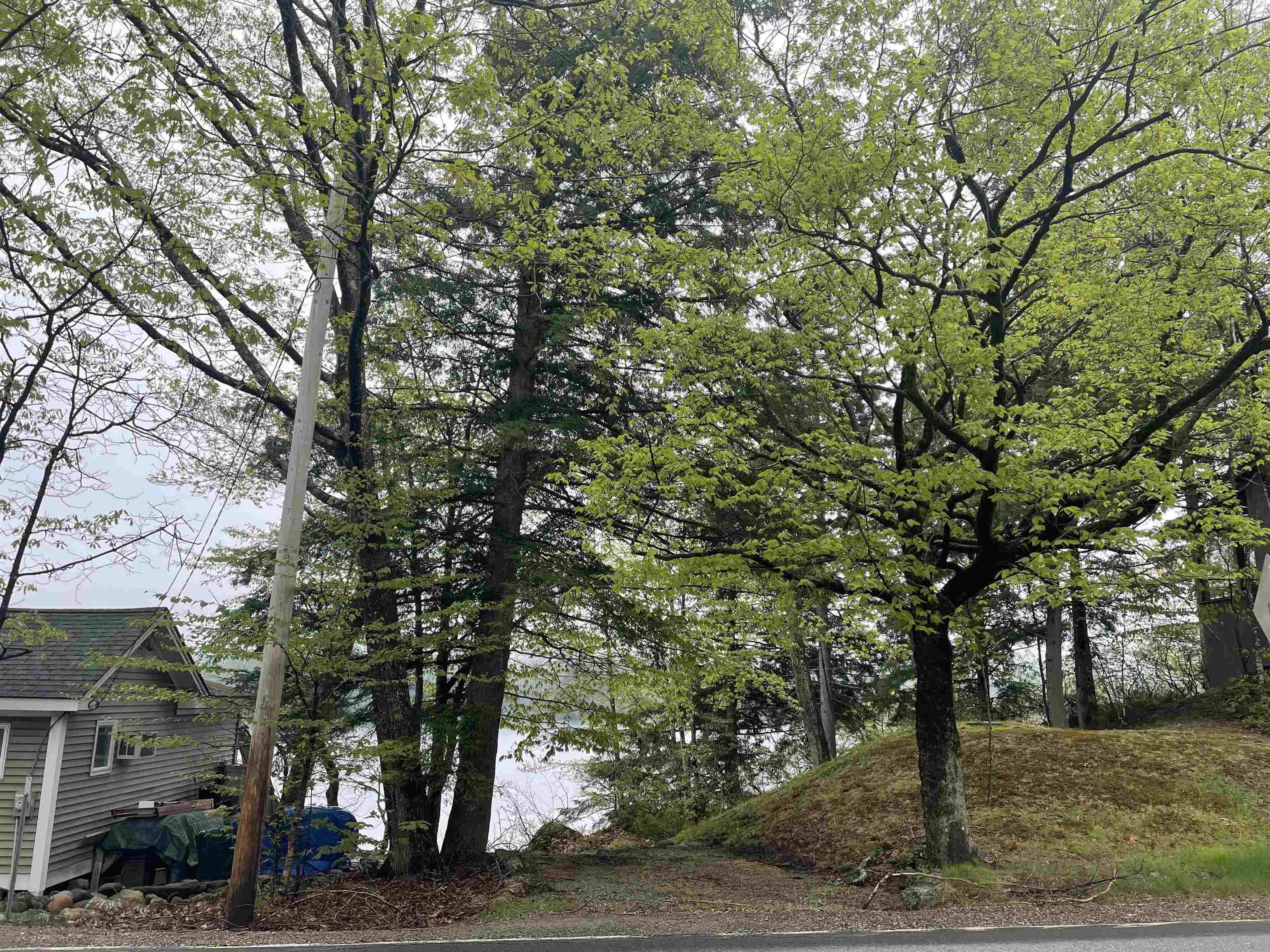 Image 2: View of Island Pond from lot