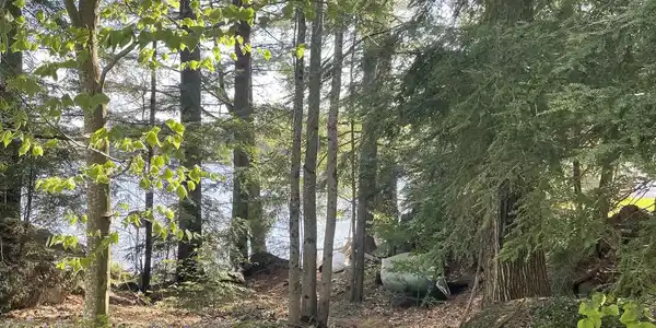 Map 125 Lot 22 Walker Road