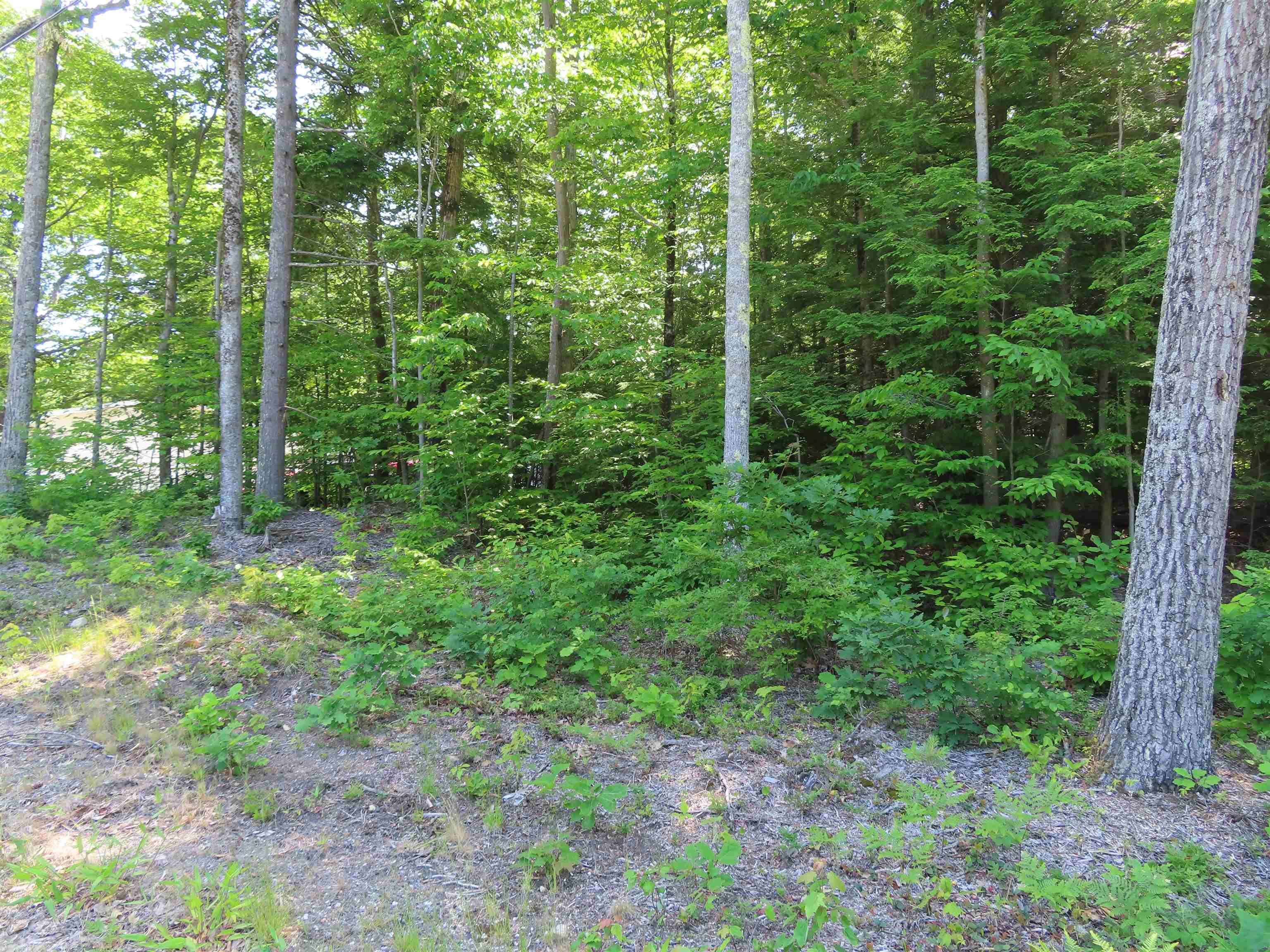 Lot 192 Suncook Valley, Barnstead, NH lhrmls01244533