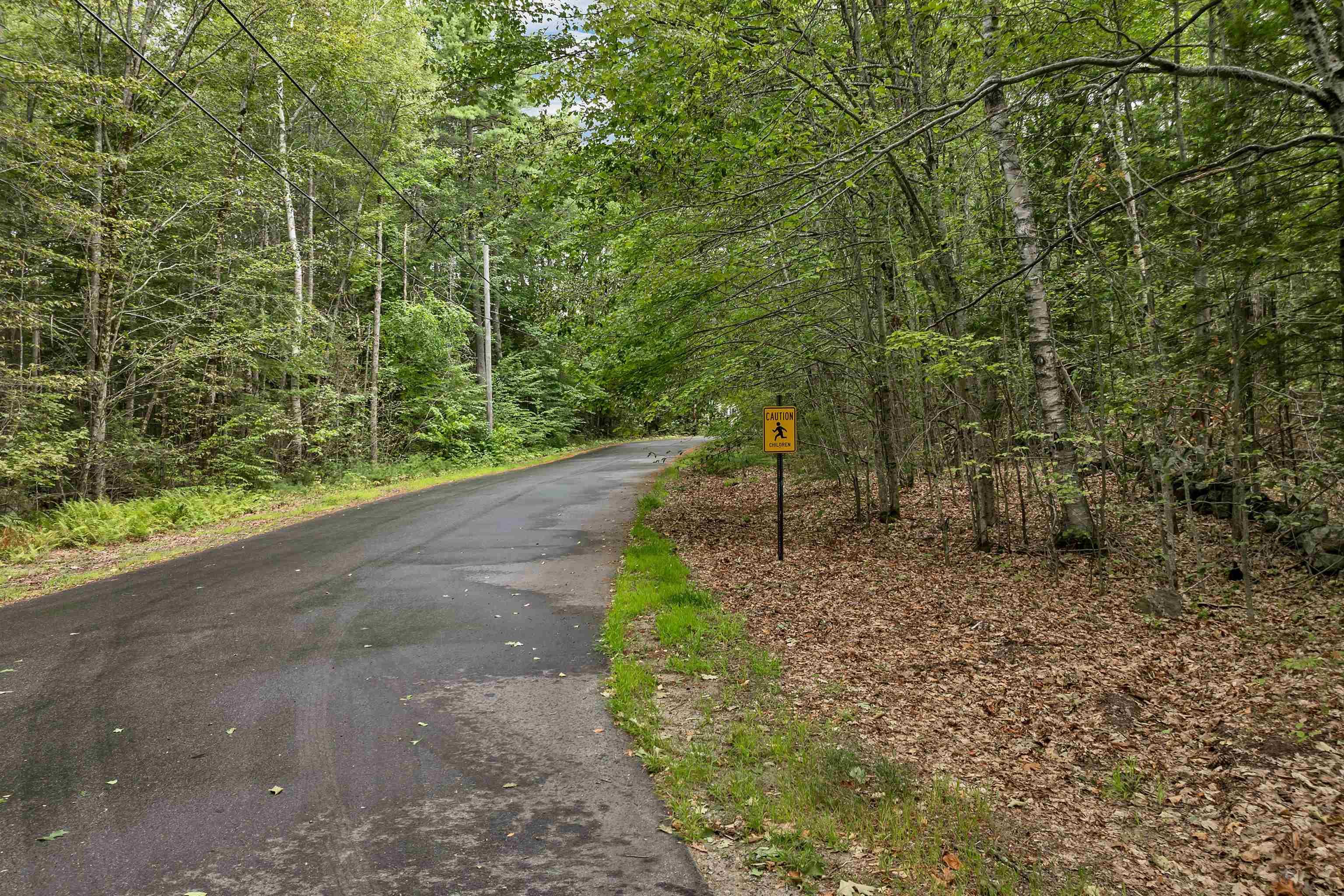 Image 2: Woodland frontage