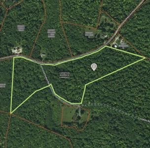 Pike Hill / Stokes