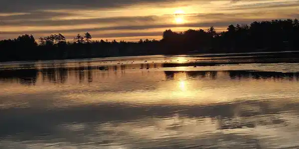 29 Lakeside Drive