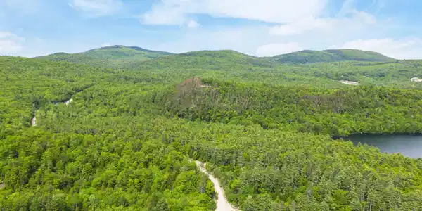 00 Pine Point Road