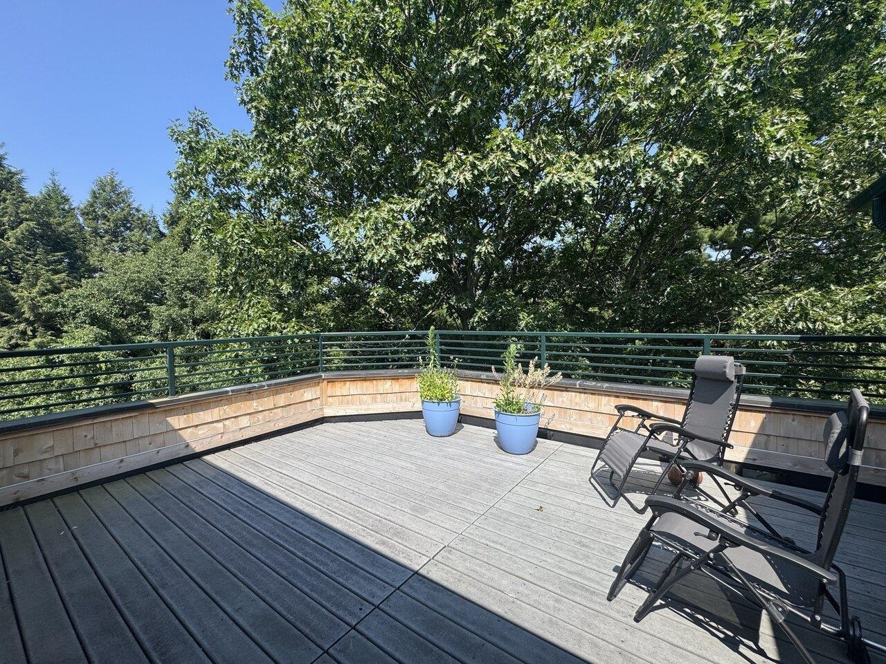 Image 2: Expansive Deck