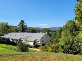 45 Mountain View