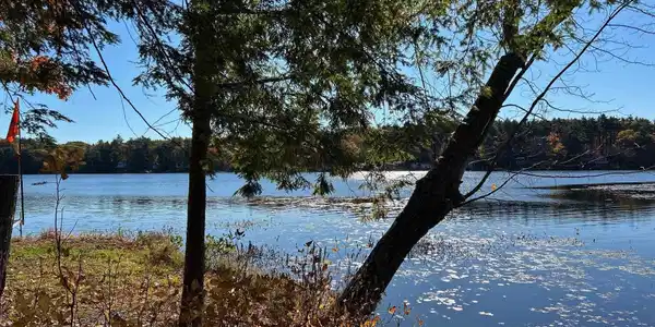 Image 3 Image 3
