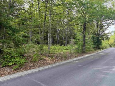 Map 5 Lot 20-4 Black Brook Road