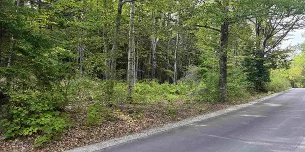 Map 5 Lot 20-4 Black Brook Road