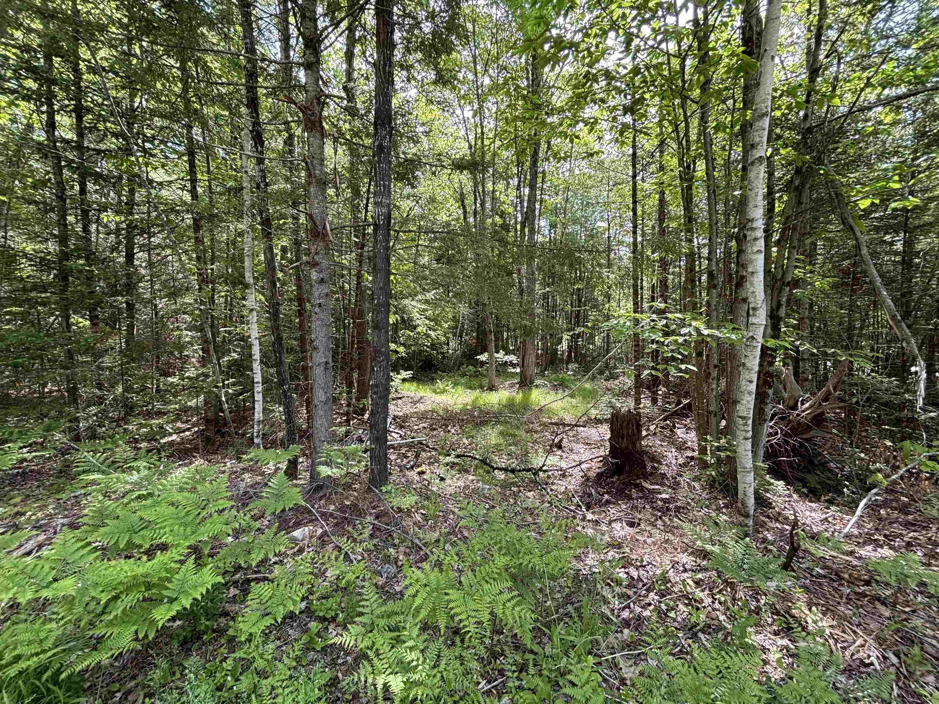 Image 1 Image 1