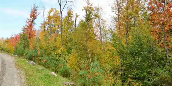 Lot 5 Echo View
