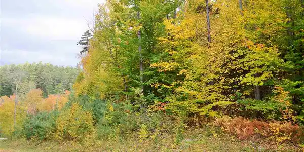 Lot 6 Echo View