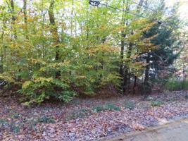 Lot 117 Andover