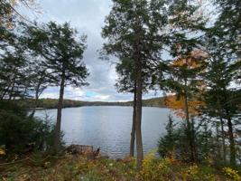 310 Hemlock