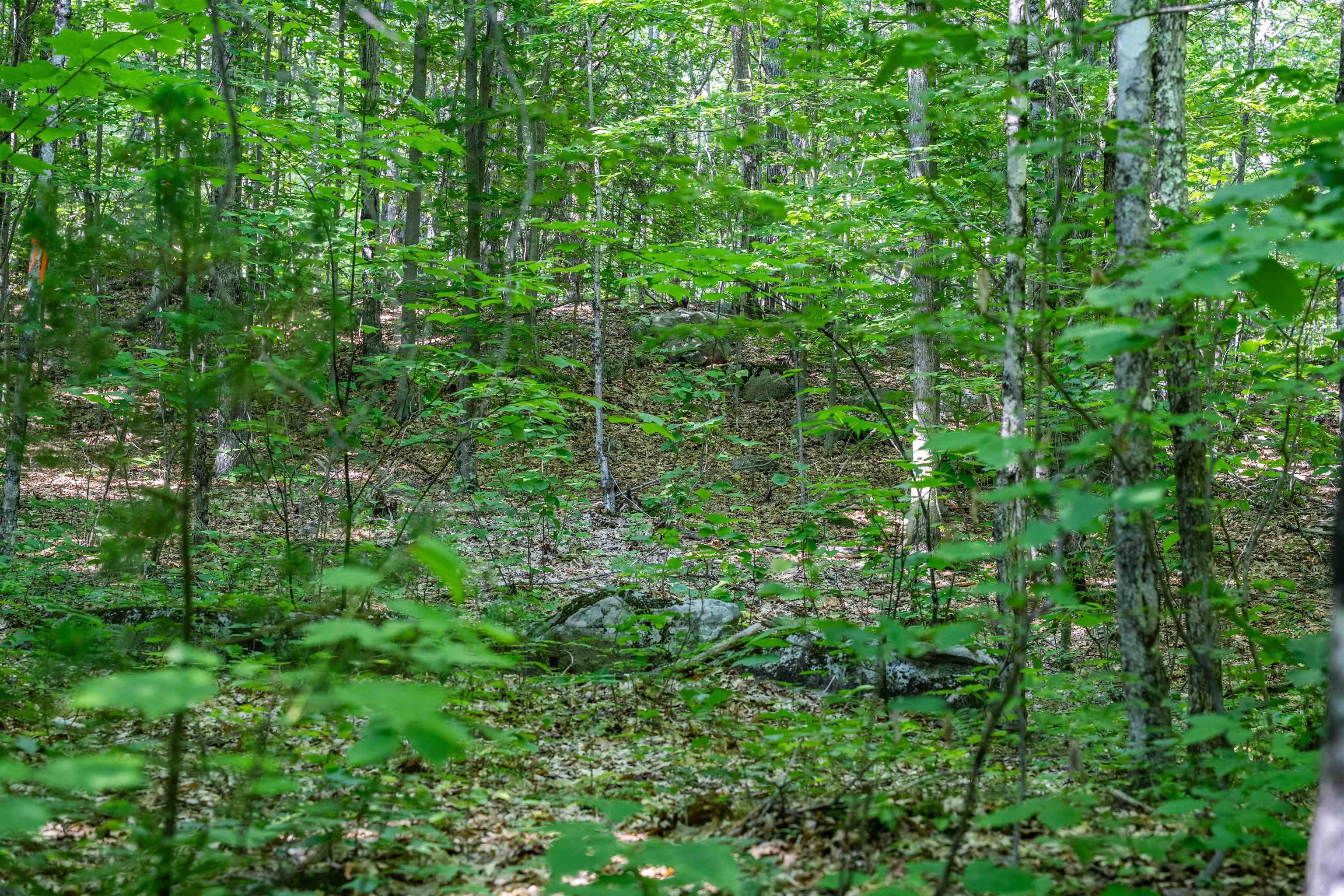 Image 3 Image 3