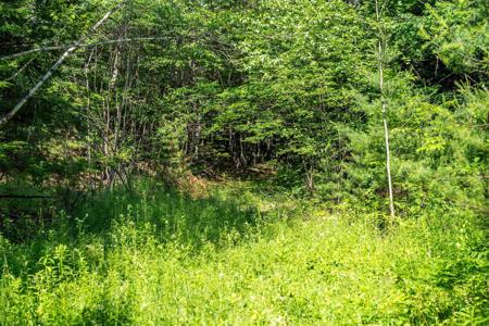 Lot 4.2 Tommy Lot Road
