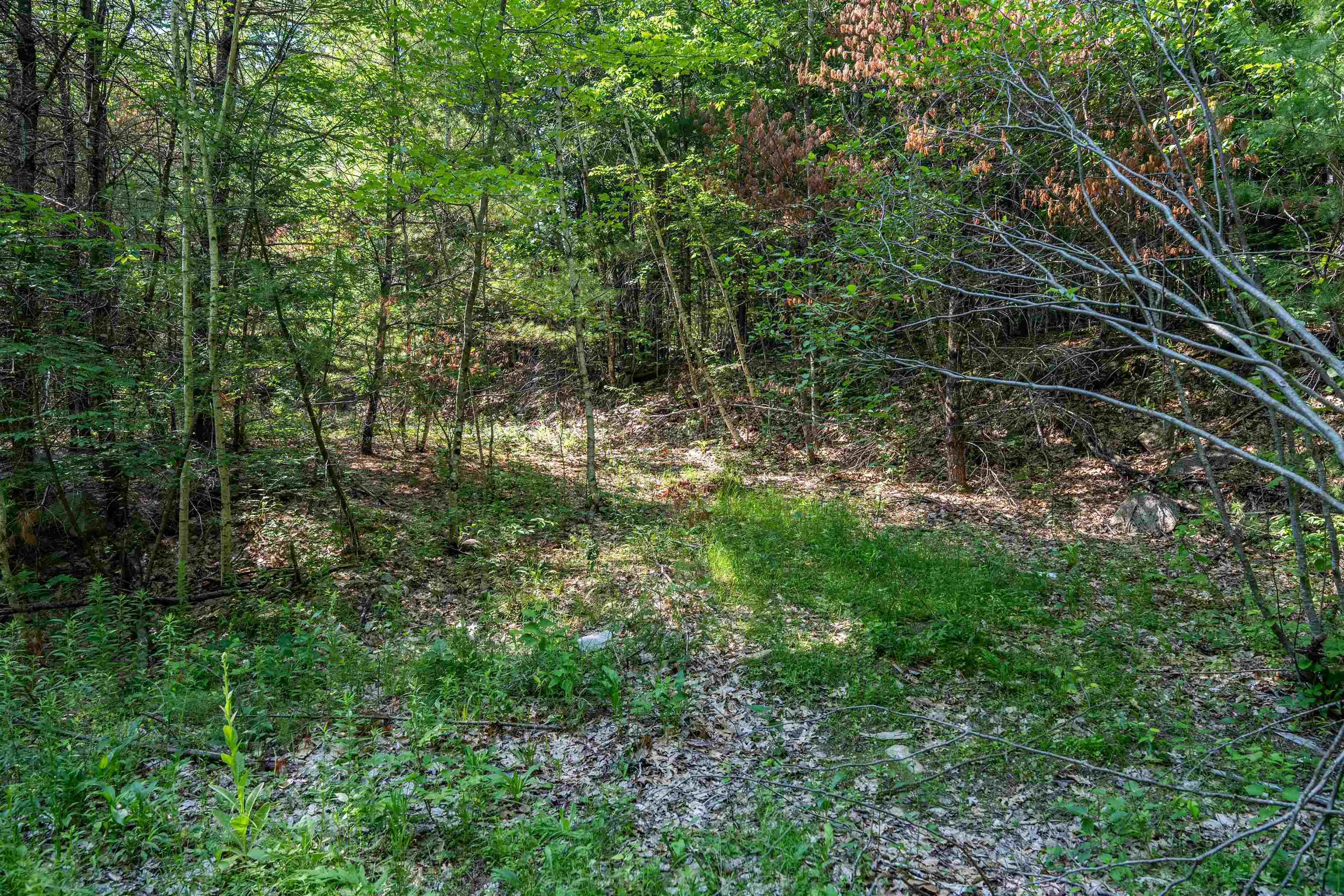 Image 4 Image 4