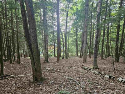 Map 132 Lot 115 Arrowhead Lane
